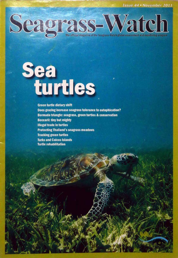 Newsletters